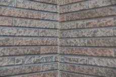 20190913  Ksama mae006.JPG