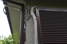 20191001 Ssama mae12.JPG