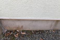 20191003 Wsama mae033.JPG