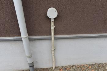 20191009 Nsama mae09.JPG