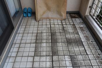 20191009 Nsama mae30.JPG