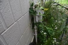 20191018 narita Ksama mae012.JPG