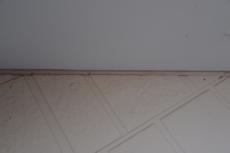 20191018 narita Ksama mae020.JPG