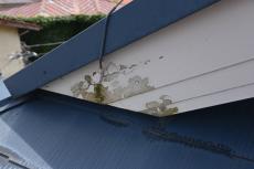 20191018 narita Ksama mae021.JPG