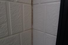 20191018 narita Ksama mae025.JPG