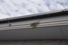 20191018 narita Ksama mae030.JPG