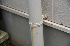 20191018 narita Ksama mae042.JPG