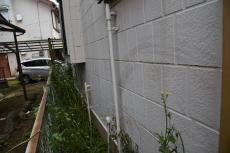 20191018 narita Ksama mae046.JPG