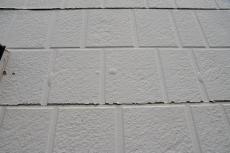 20191018 narita Ksama mae048.JPG