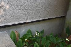 20191018 narita Ssama mae031.JPG