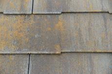 20191021 Ksama mae31.JPG