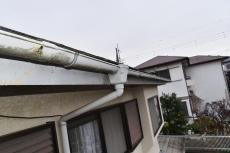 20191021 narita Osama mae008.JPG