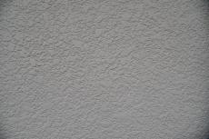 20191021 narita Osama mae010.JPG