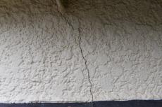 20191021 narita Osama mae011.JPG