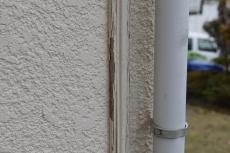 20191021 narita Osama mae018.JPG