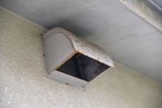 20191021 narita Osama mae029.JPG