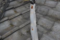 20191029 Osama mae37.JPG