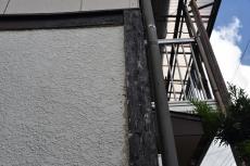 20191108 Ysama mae013.JPG