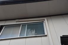 20191108 Ysama mae017.JPG