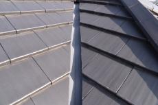 20191118 Osama mae024.JPG