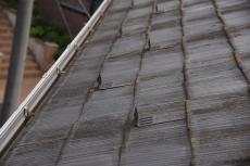 20191127 Ssama mae020.JPG