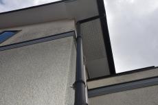 20191127 Ssama mae028.JPG