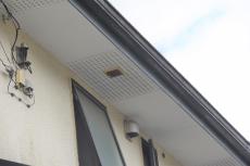 20191127 Ssama mae037.JPG