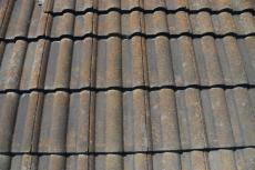 20191128 Nsama mae003.JPG