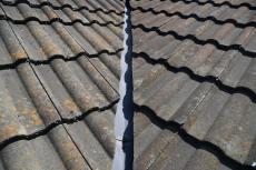 20191128 Nsama mae007.JPG