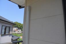 20191128 Nsama mae010.JPG