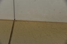 20191128 Nsama mae012.JPG