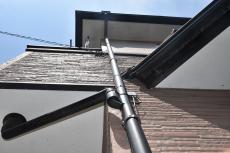 20191128 Nsama mae024.JPG