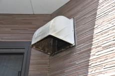 20191128 Nsama mae026.JPG