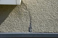 2020 0108 Msama mae02.JPG