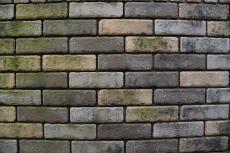 2020 0108 Msama mae05.JPG