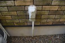 2020 0108 Msama mae10.JPG