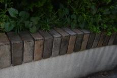 2020 0108 Msama mae16.JPG