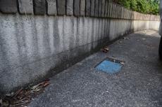 2020 0108 Msama mae17.JPG