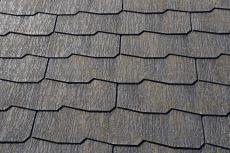 2020 0108 Msama mae38.JPG