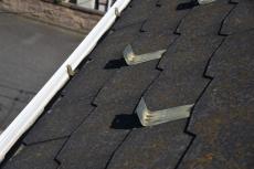 2020 0108 Msama mae39.JPG