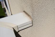 2020 0108 Msama mae43.JPG