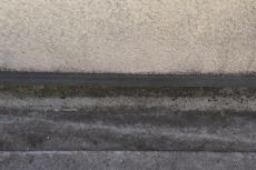 2020 0108 Msama mae46.JPG