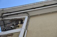 2020 0108 Msama mae54.JPG