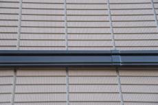 2020 0109 Msama mae007.JPG