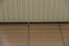 2020 0109 Msama mae010.JPG