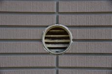 2020 0109 Msama mae015.JPG