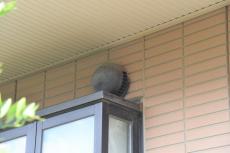 2020 0109 Msama mae025.JPG