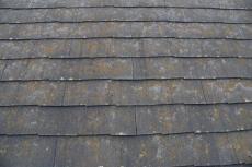 2020 0109 Msama mae048.JPG