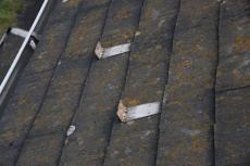 2020 0109 Msama mae049.JPG