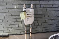 2020 0109 Wsama mae008.JPG